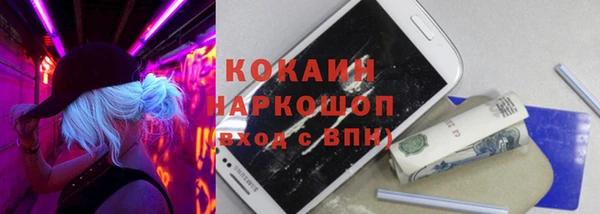 прущие грибы Зерноград