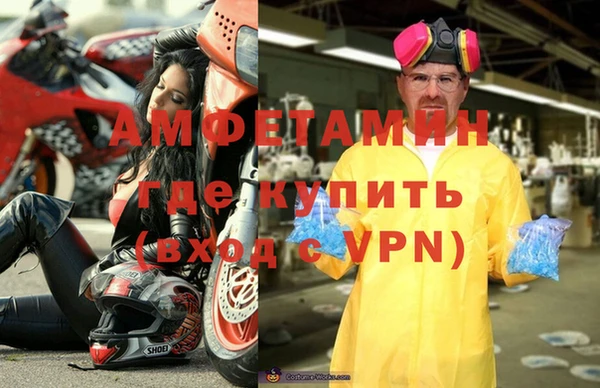 прущие грибы Зерноград