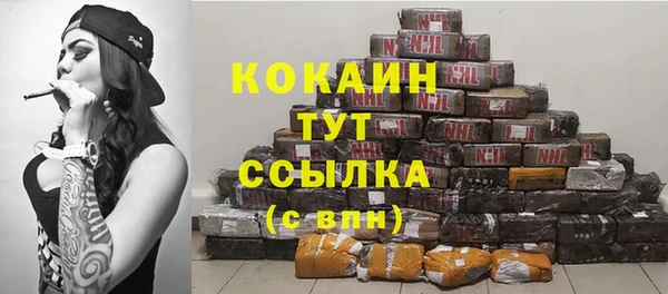 прущие грибы Зерноград