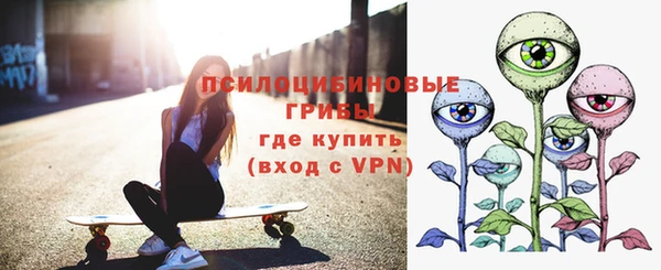 ешки Зеленодольск