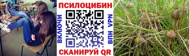 Купить закладки  Гагарин  Галлюциногенные грибы GOLDEN TEACHER 